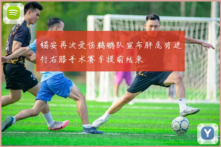 锡安再次受伤鹈鹕队宣布胖虎将进行右膝手术赛季提前结束