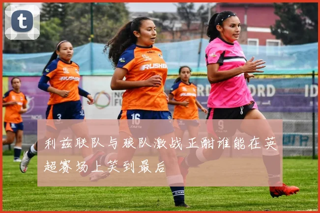 利兹联队与狼队激战正酣谁能在英超赛场上笑到最后