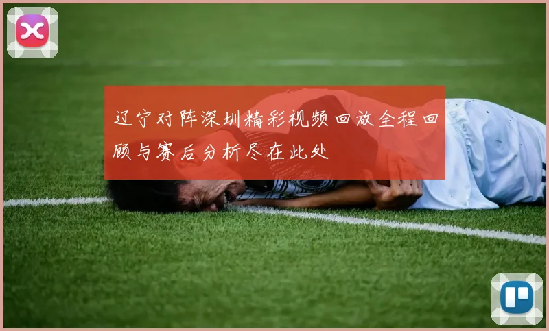 辽宁对阵深圳精彩视频回放全程回顾与赛后分析尽在此处