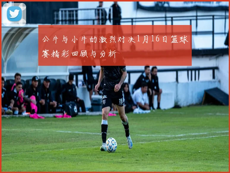 公牛与小牛的激烈对决1月16日篮球赛精彩回顾与分析