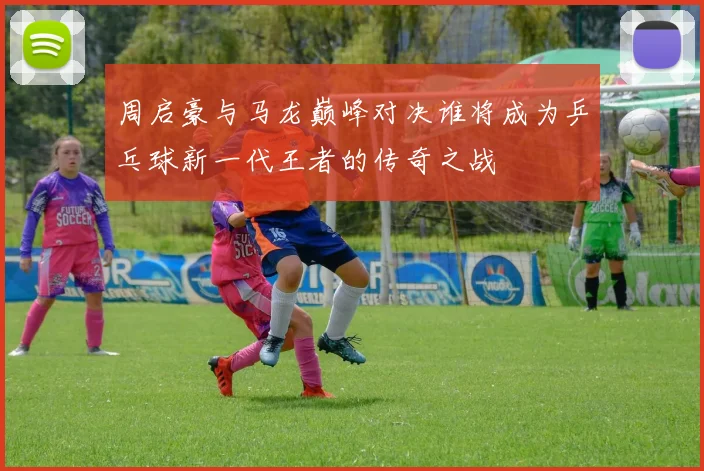 周启豪与马龙巅峰对决谁将成为乒乓球新一代王者的传奇之战