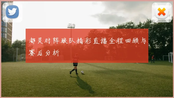 都灵对阵狼队精彩直播全程回顾与赛后分析