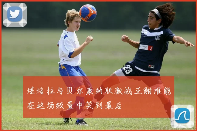 堪培拉与贝尔康纳联激战正酣谁能在这场较量中笑到最后