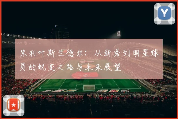 朱利叶斯兰德尔：从新秀到明星球员的蜕变之路与未来展望