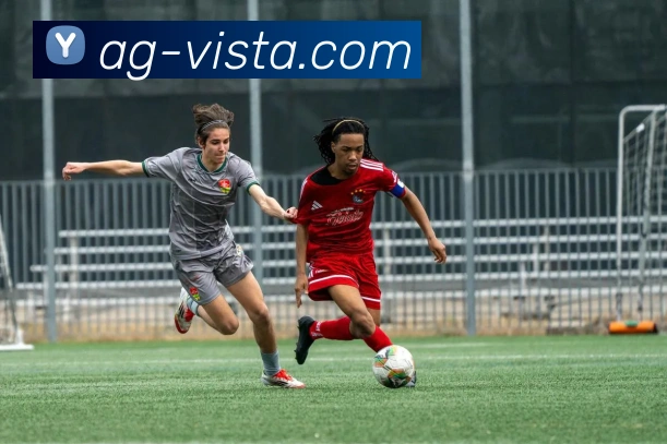 App Interface Preview